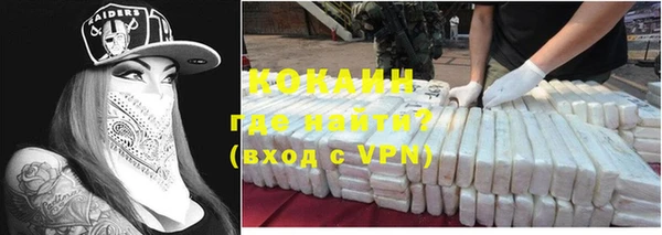 гашик Козловка