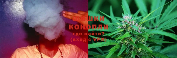 прущие грибы Коряжма