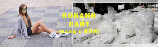 стаф Кодинск