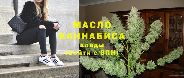 гашик Козловка