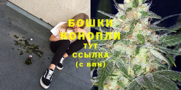 гашик Козловка