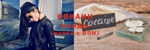 прущие грибы Коряжма