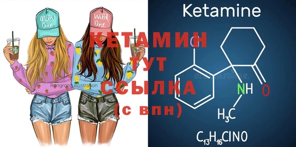 прущие грибы Коряжма