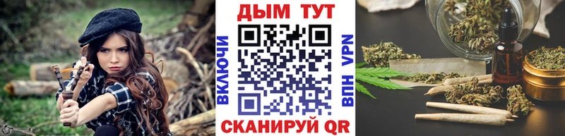 МАРИХУАНА ГИДРОПОН  Сураж 